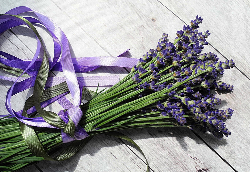 16 Remarkable Benefits Of Lavender Oil For Your Body And Mind