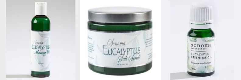 Eucalyptus massage oil, salt scrub and essential oil Sonoma