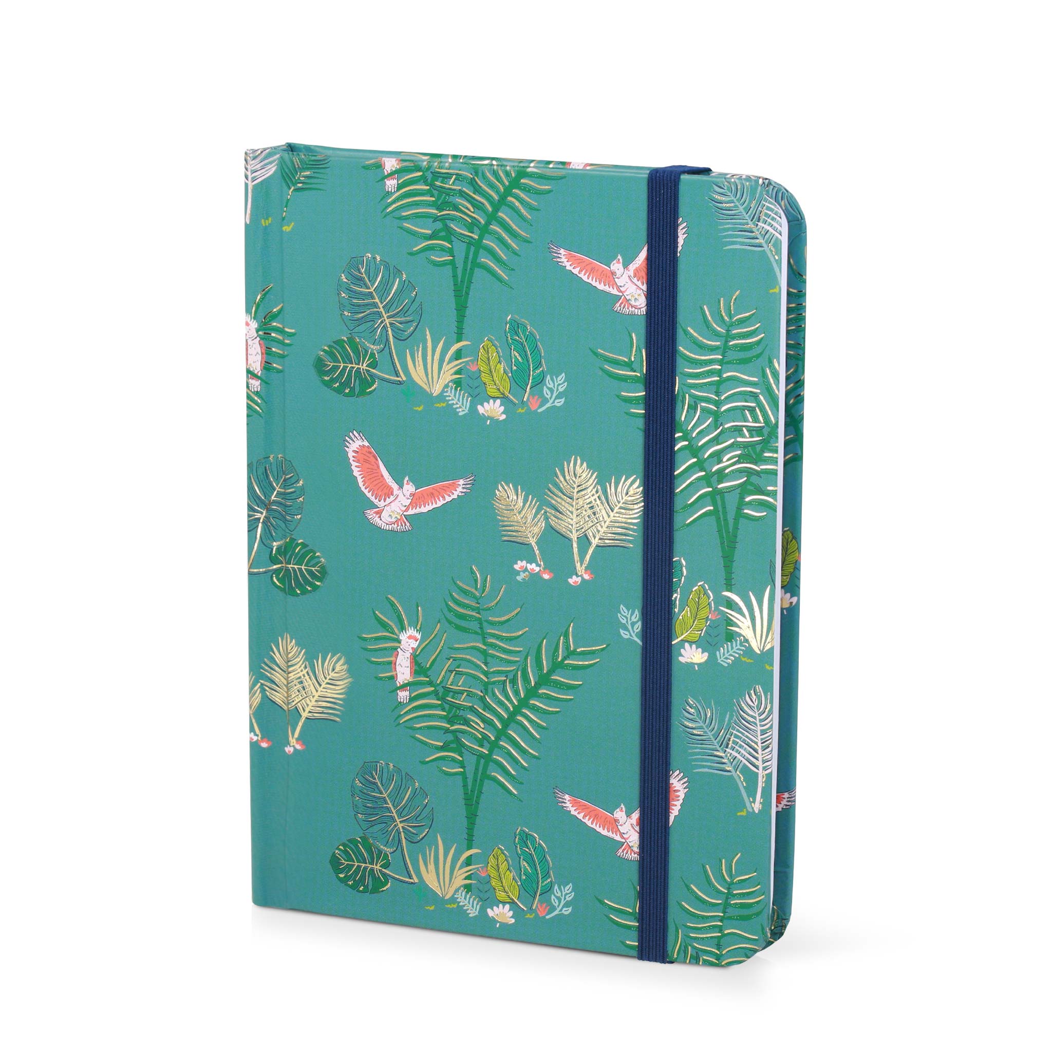 An image of Password Book Parrot Paradise