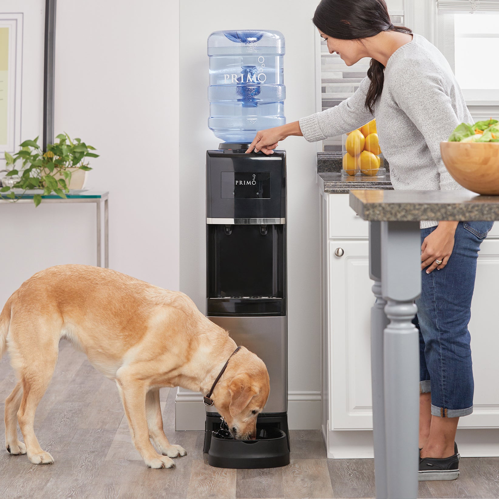 primo water dispenser with pet station