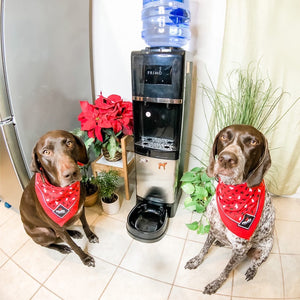 primo water dispenser with pet station