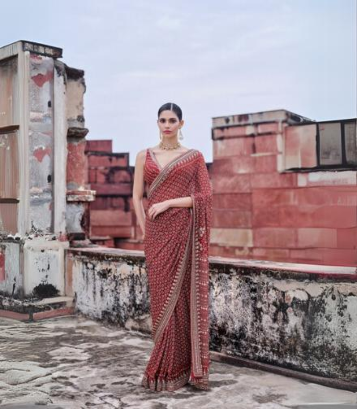 Arvia Printed Georgette Saree