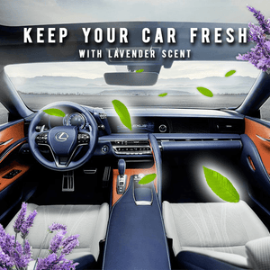 Multi Purpose Car Interior Cleaner