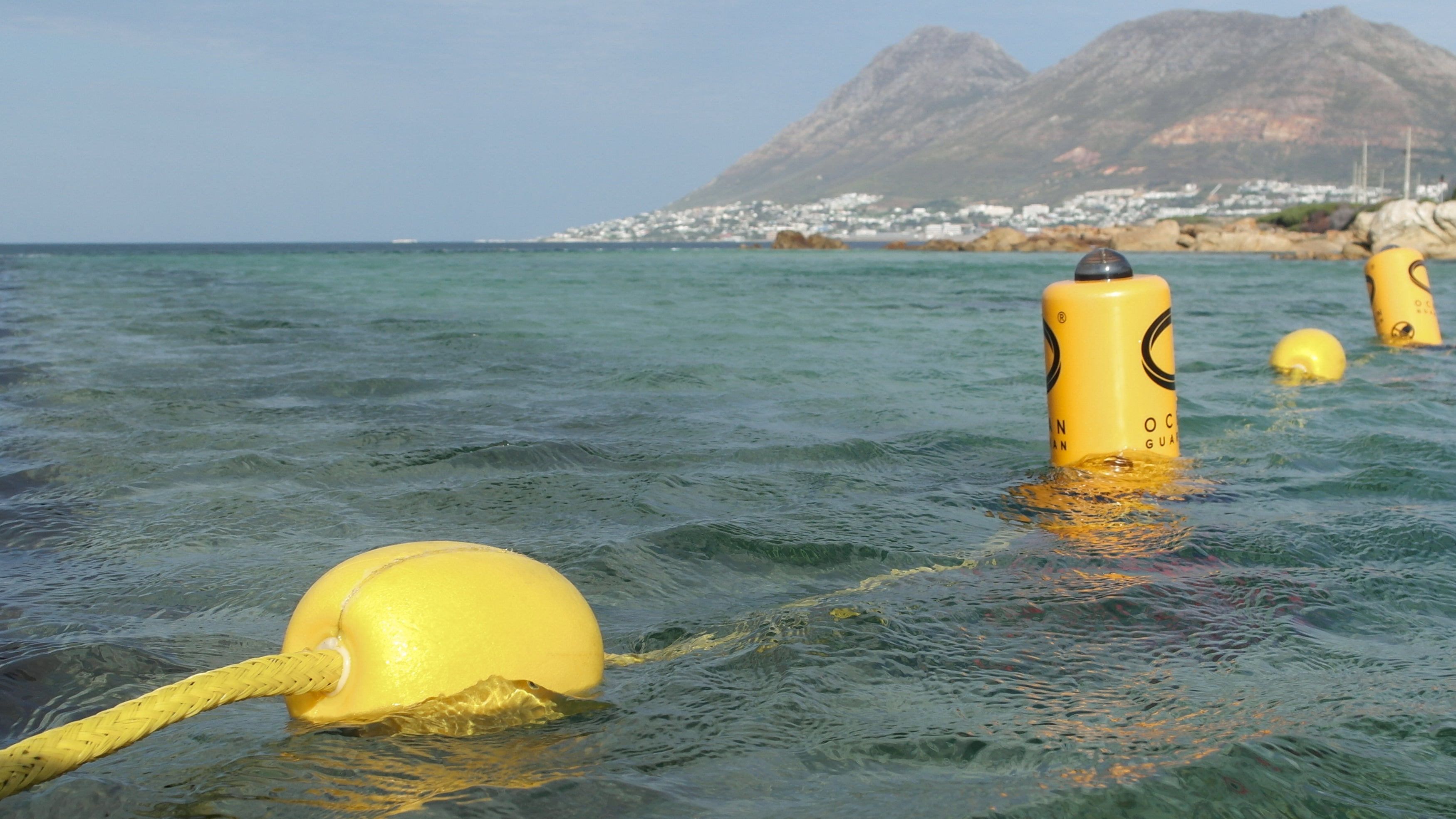 Ocean Guardian Barrier Series - Ocean Guardian | Shark Shield