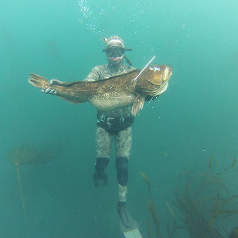 Matt Mattison Ocean Guardian Ambassador