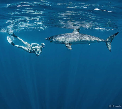 Riley Elliott | Ocean Guardian Ambassador