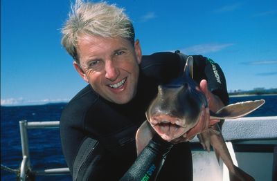 Shark Gordon | Ocean Guardian Ambassador