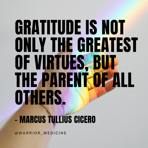 warrior medicine quote marcus tullius cicero Gratitude is not only the greatest of virtues, but the parent of all others gray background with hand and rainbow light. black capitalized text