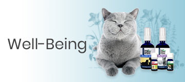 Pet Well being products