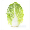 napa cabbage for pets