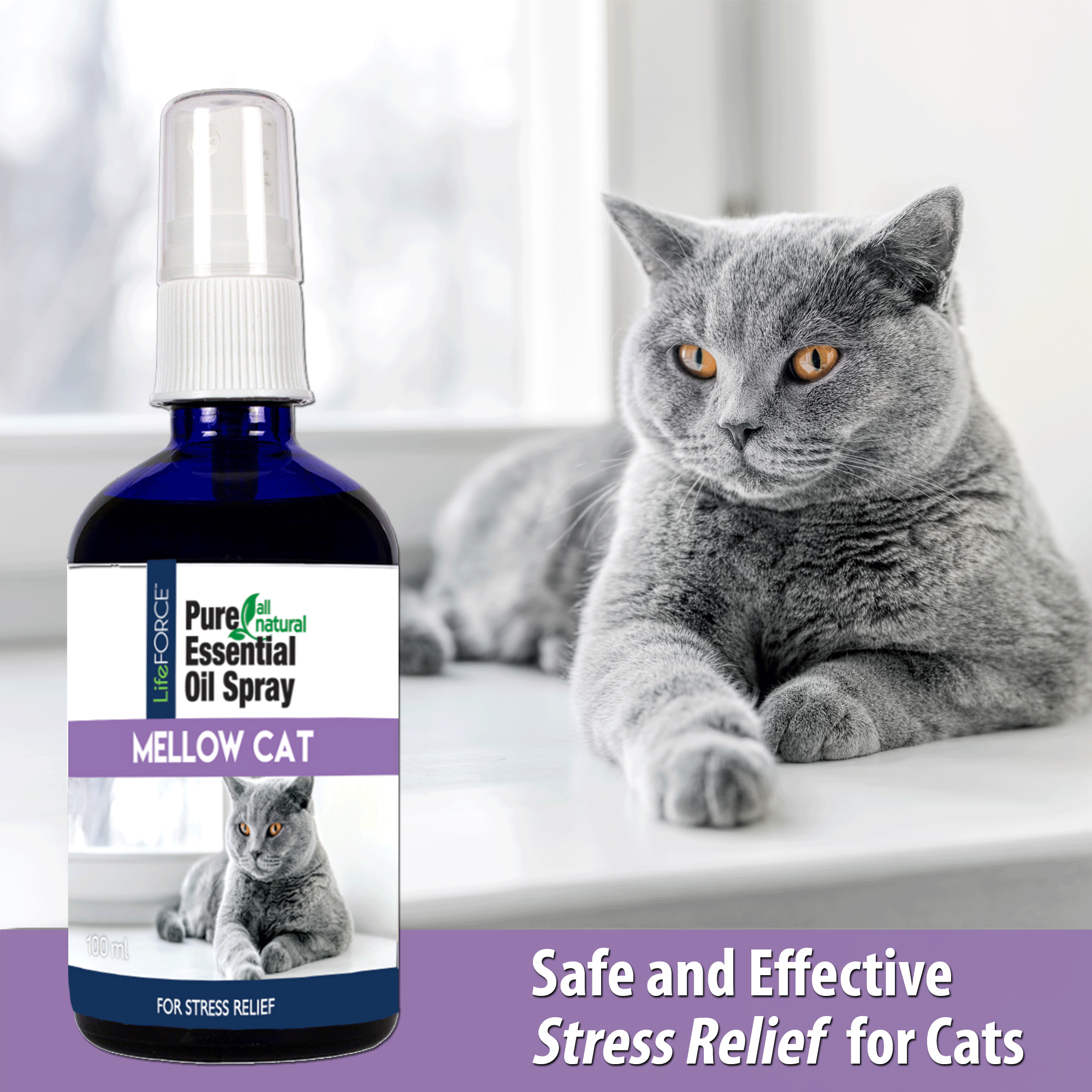 lavender spray for cats