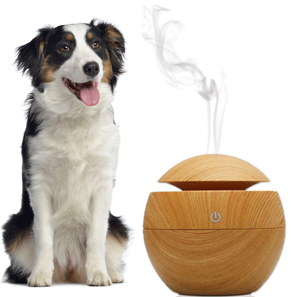 Is Peppermint Oil Safe For Dogs To Breathe? Pet Spruce