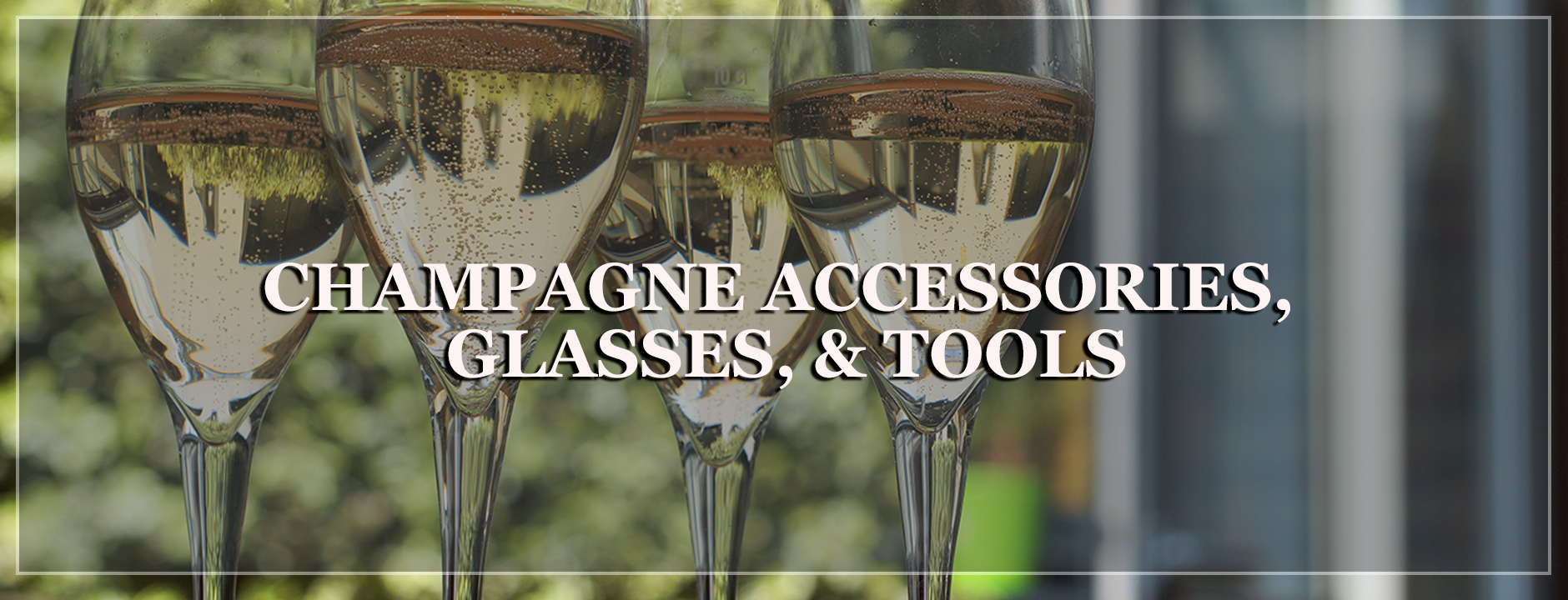 Champagne accessories - wine is life store