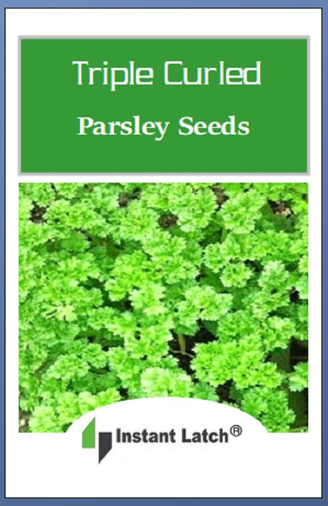 Triple Curled Parsley | NON-GMO | Instant Latch Fresh Garden Seeds