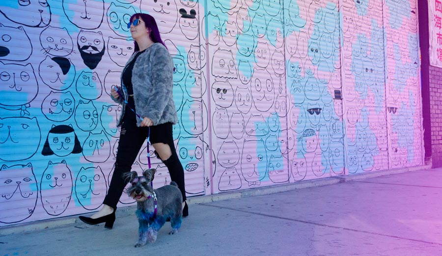girl walking dog in front of colorful wall