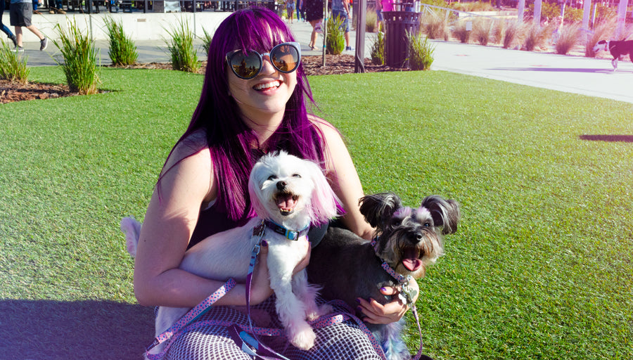 Girl Holding Maltese and Schnauzer