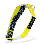 Asteroid Blues - Padded Dog Collars