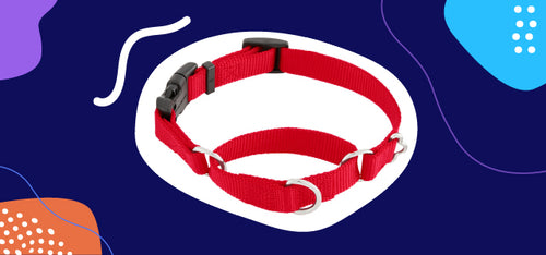 A martingale dog collar