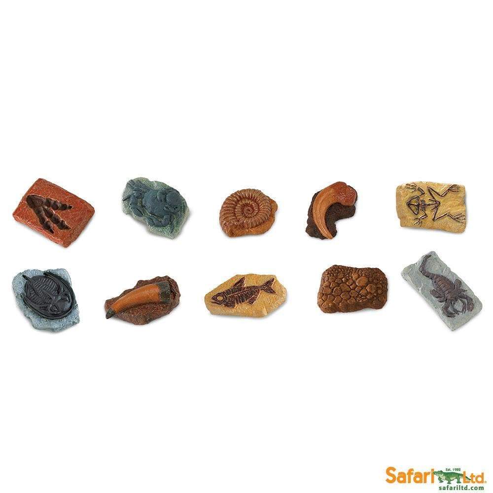 Prehistoric Fossil Tube Pack Safari LTD – Millemamme