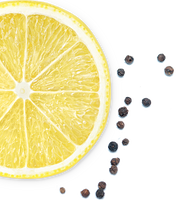 https://cdn.shopify.com/s/files/1/0052/5467/6593/t/7/assets/fruit-family-lemon-pepper-bg-L-1634567997875_x200.png