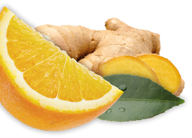 https://cdn.shopify.com/s/files/1/0052/5467/6593/t/7/assets/fruit-family-orange-ginger-bg-top-1635191980767_x200.png