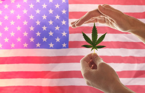 American flag with man holding cannabis leaf in front of it