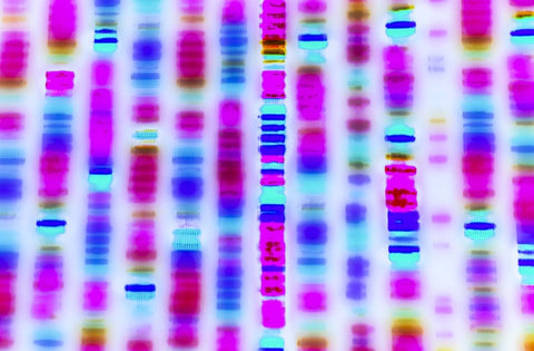 DNA colorful 