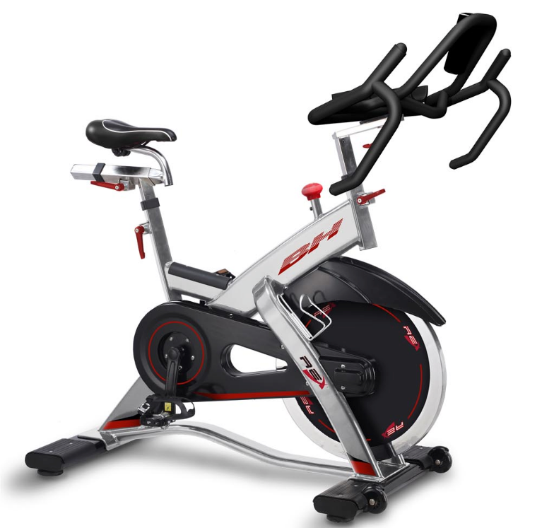 Image of BH Rex Electronic H921E Light Commercial Indoor Bike