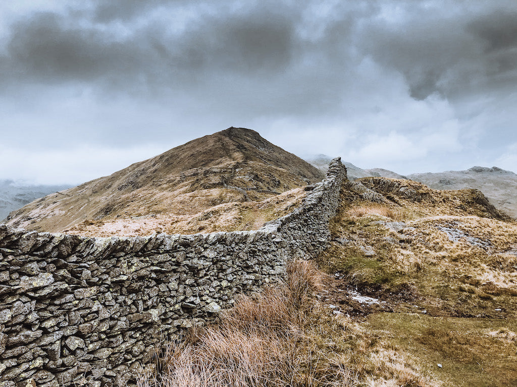 Fairfield horseshoe