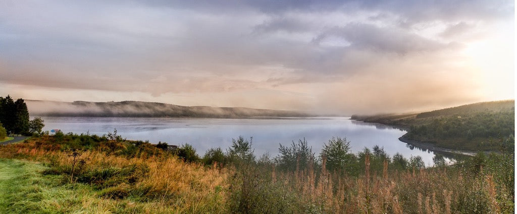 Kielder Forest campervan