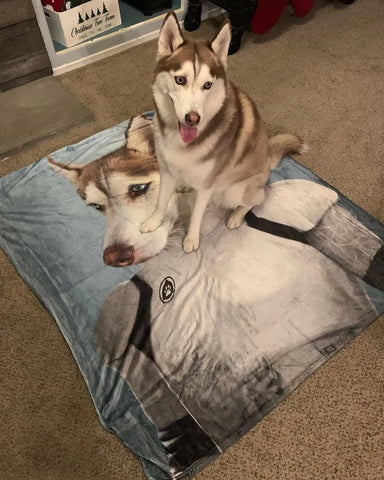keep dog warm under blanket