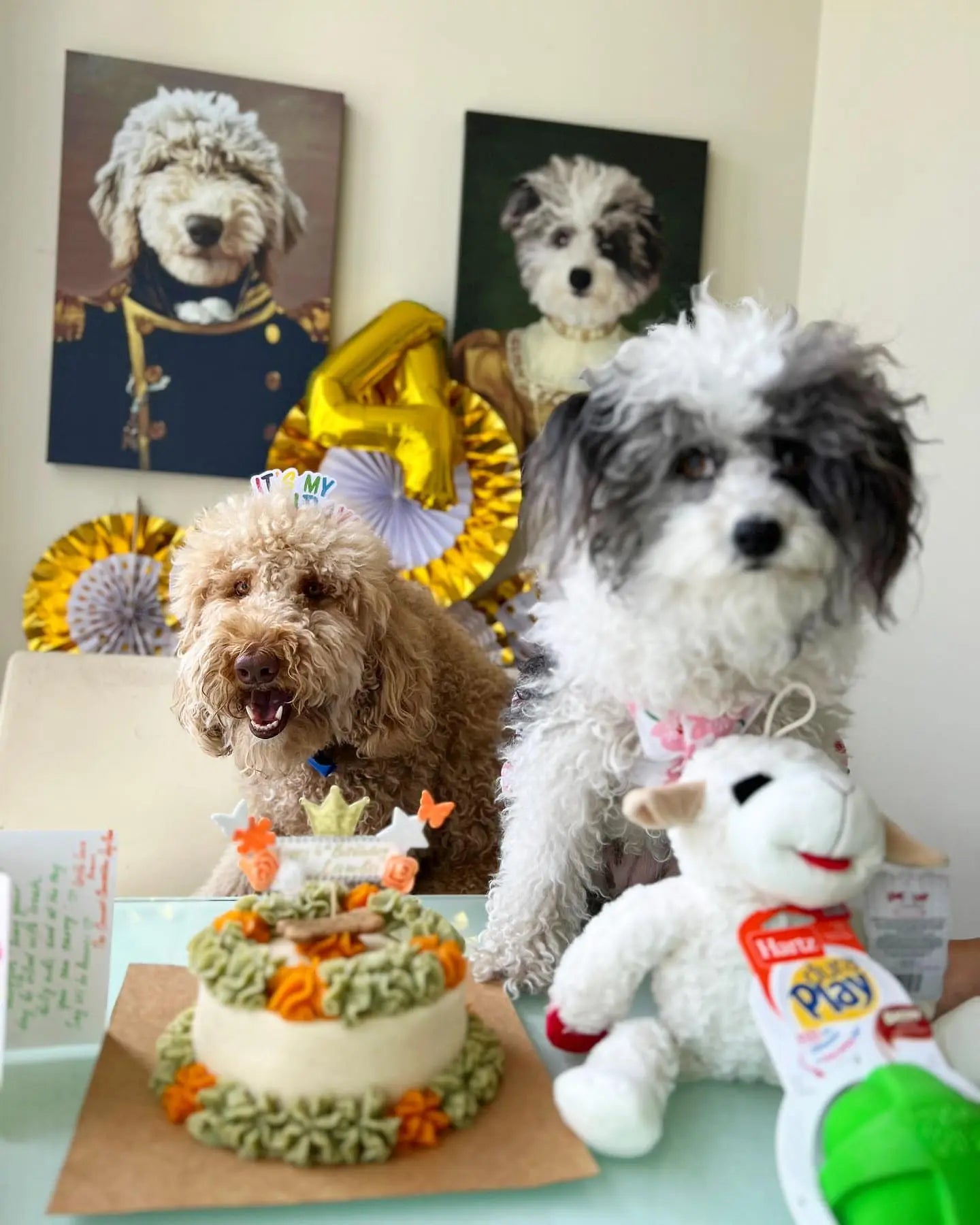 Dog Birthday Party Gifts