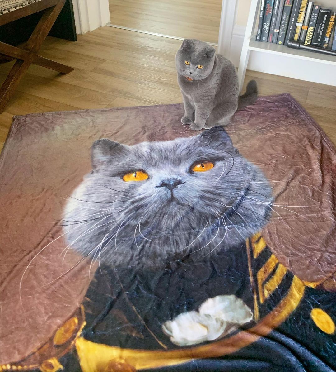 The Admira Cat Blanket