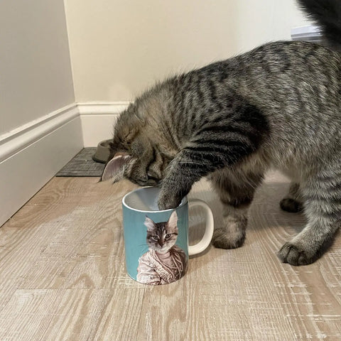 playful cat with cat portrait mug
