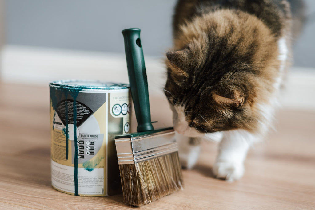 Curious cat smelling paintbrush 2