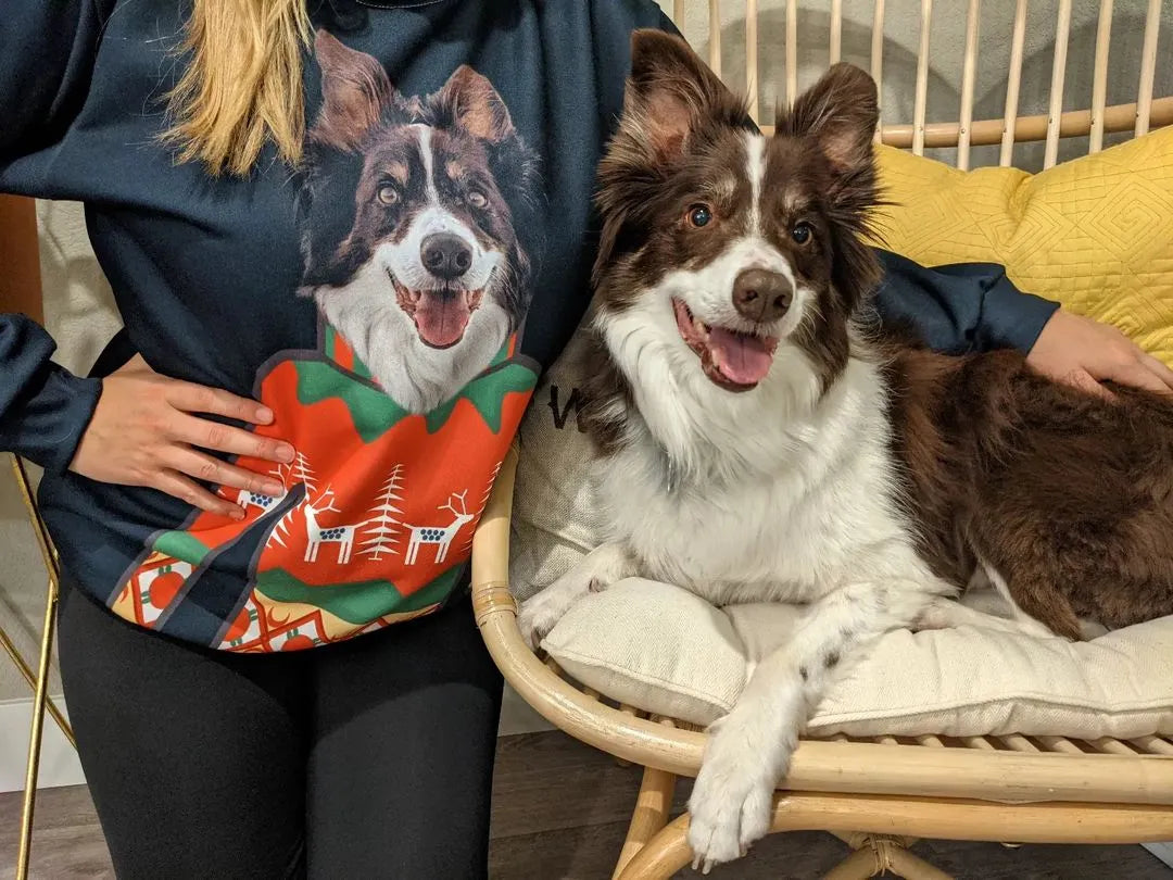 Dog Holiday Sweater