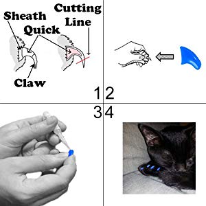 WILLBOND 200 Pieces 20 Color Cat Claw Caps with 10 Pcs Adhesive Glues and  10 Pcs Applicators Cat Claw Covers Cat Nail Tips with Instruction for Pets