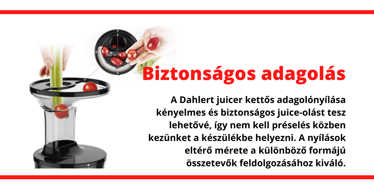Dahlert juicer