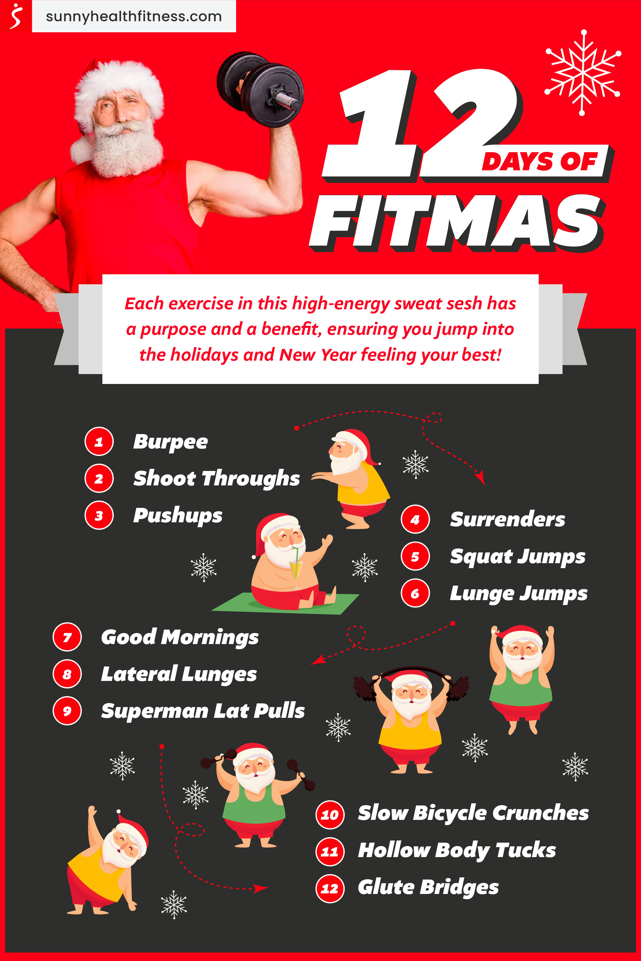 12 Days of Fitmas Infographics