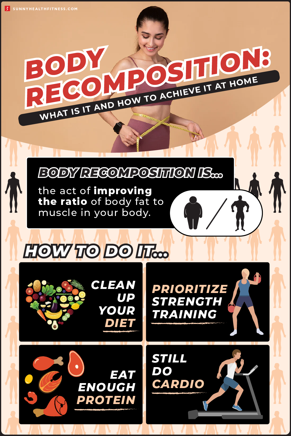 Body Recomposition 2