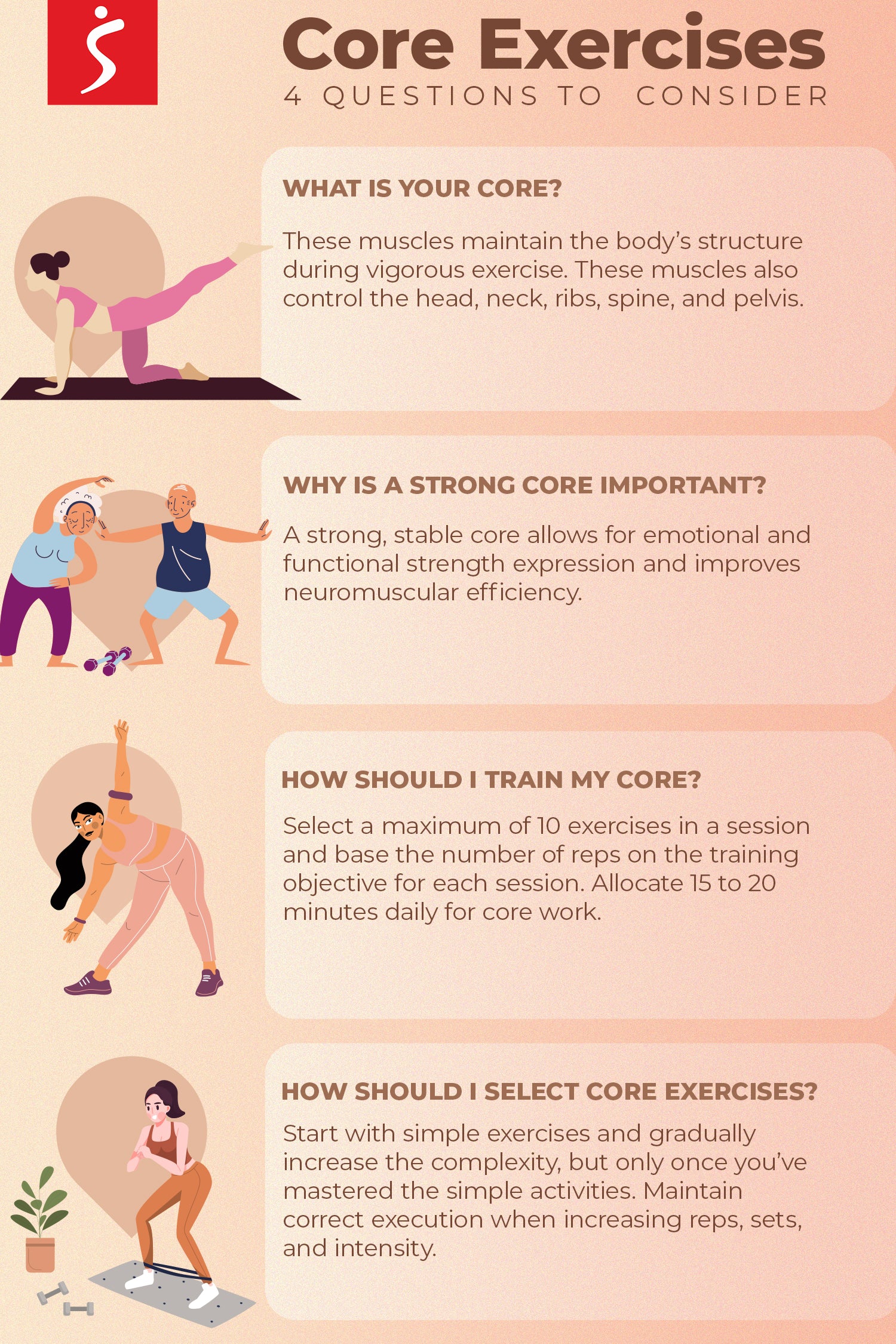 How to get tight core muscles ?  Core workout, Core muscles, Muscle