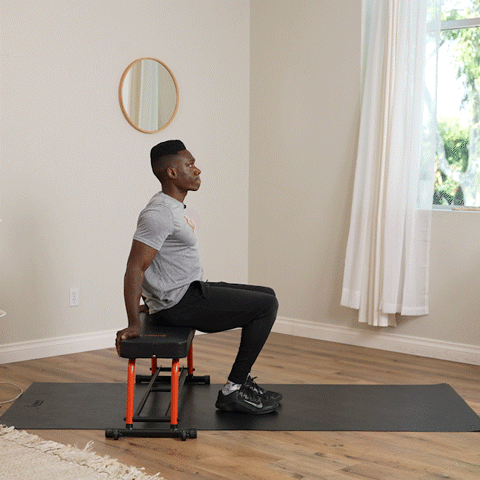 Quad pulses - seated position
