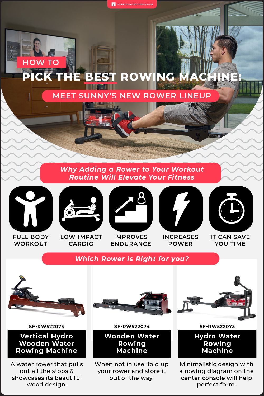 Sunny’s New Rower Lineup Infographic