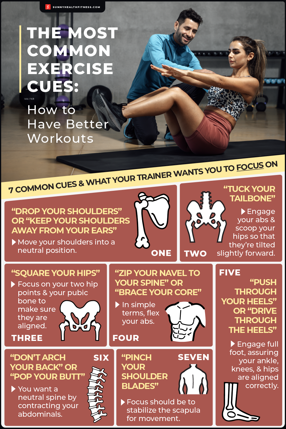 Common Exercise Cues Infographic