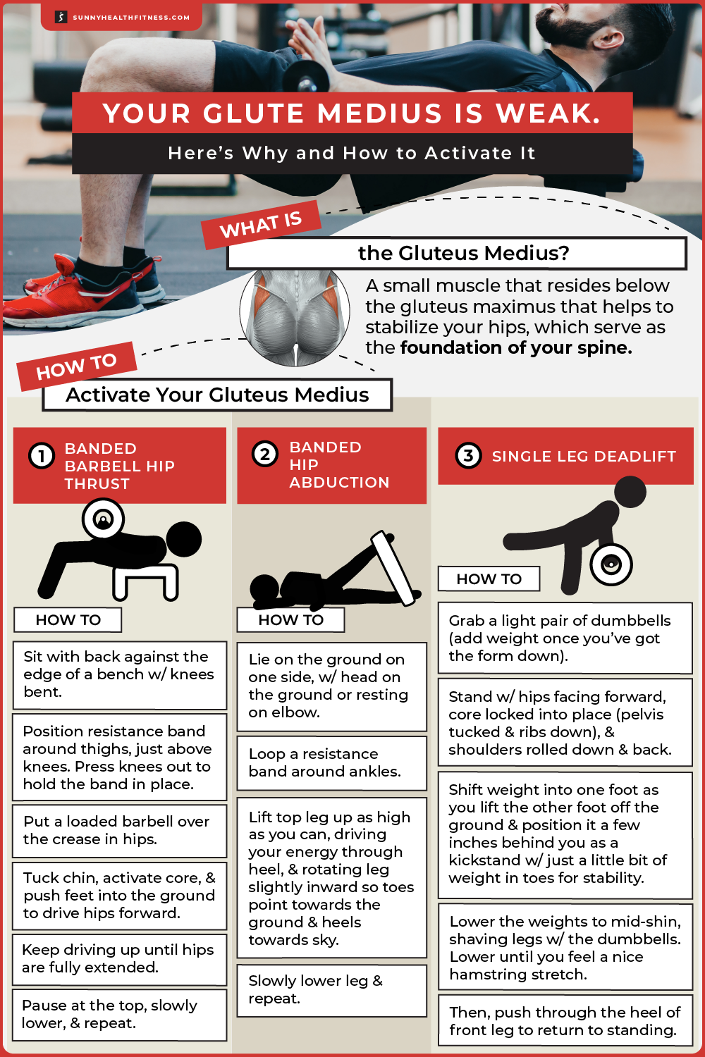 Glute Medius Infographic