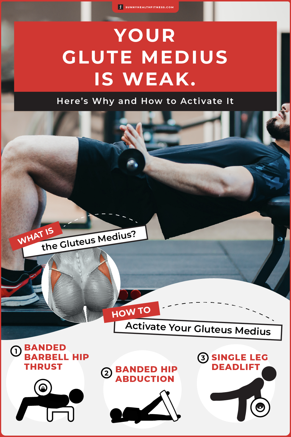 Glute Medius Infographic