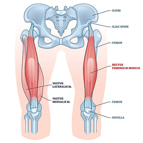 Are Your Hip Flexors Weak? Reasons You Should Be Stretching AND Streng