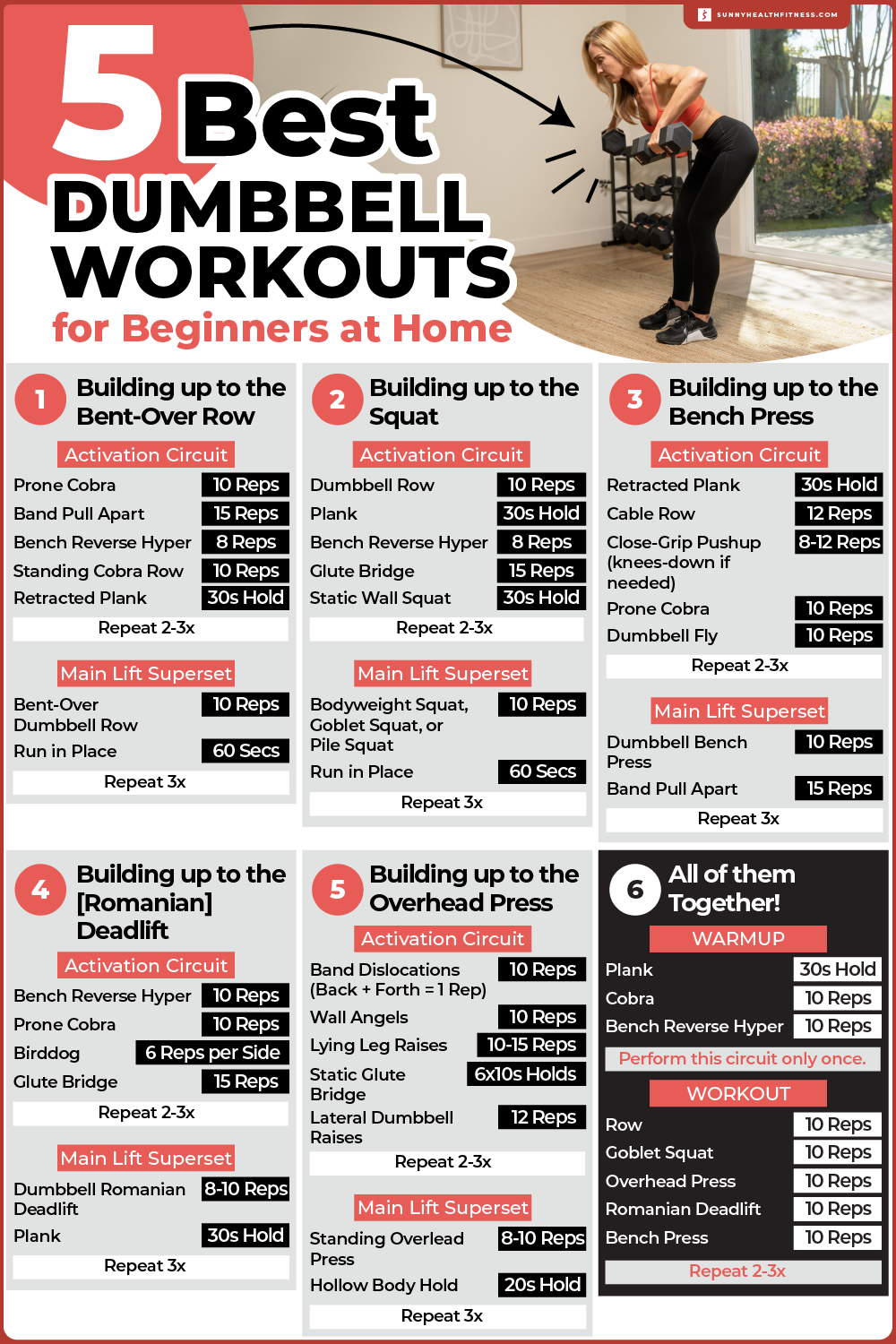 Best Dumbbell Exercises to Do at Home for Beginners Inforgraphic