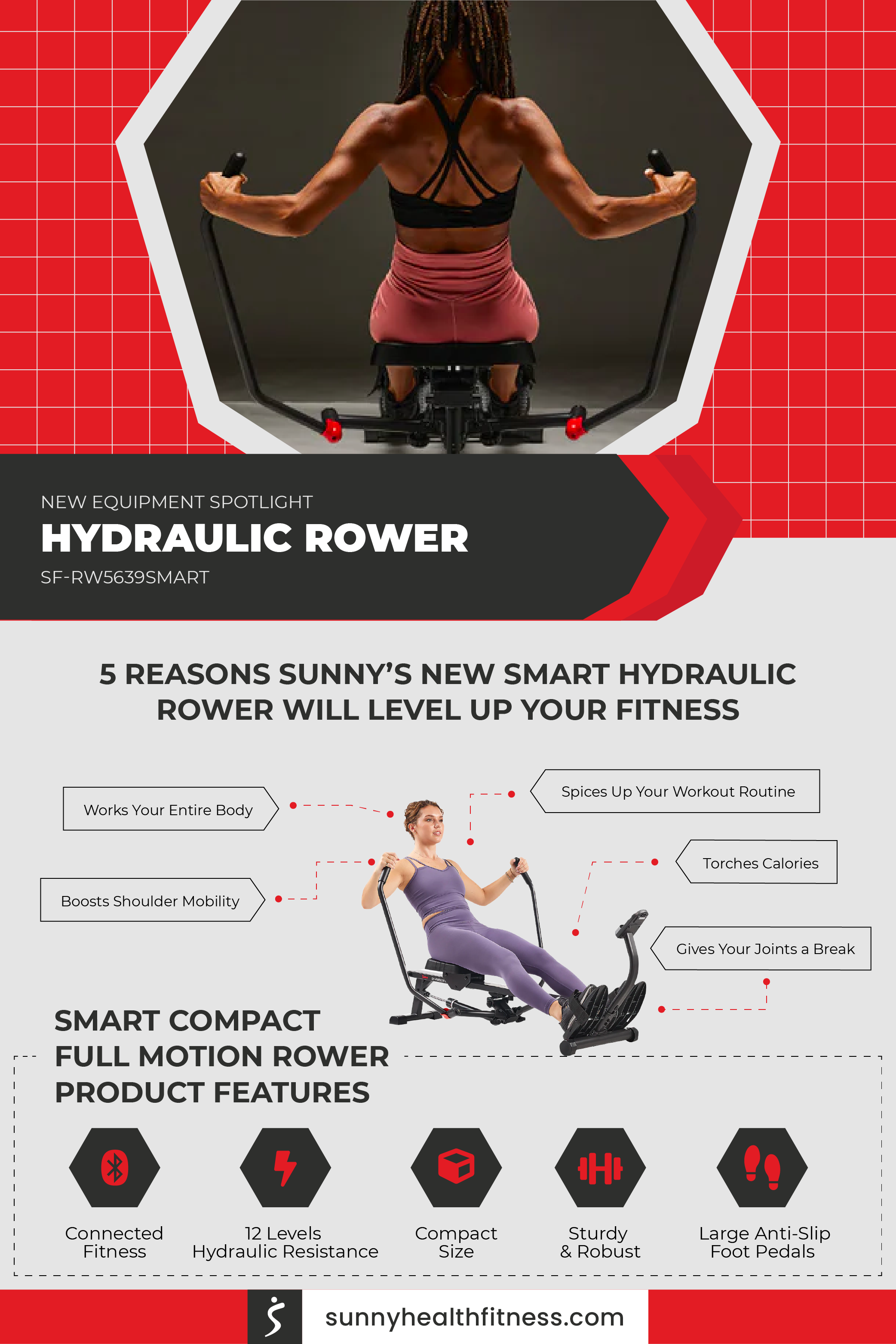The Hydraulic Rower Infographic