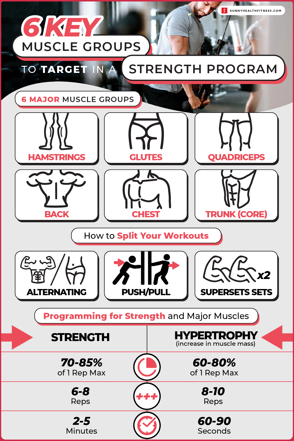 Which muscle groups to work out together, from beginner to advanced